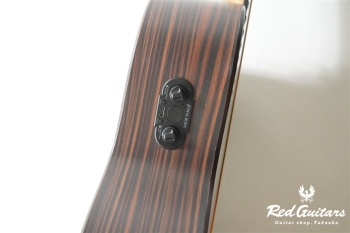 EA-X1 PRO/EQ - Sunburst